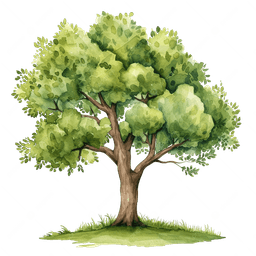 Image of tree 